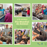CACI - Dia Mundial do Animal