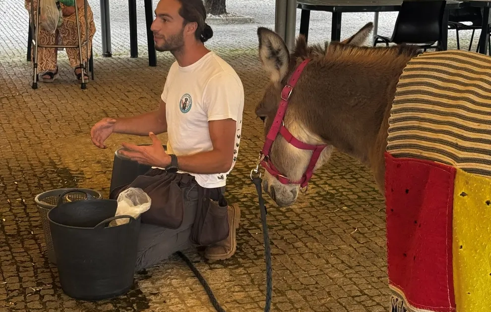 Atividade do Dia do Animal setembro-2026