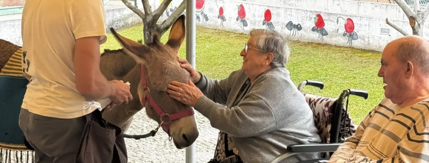 Atividade do Dia do Animal setembro-2026