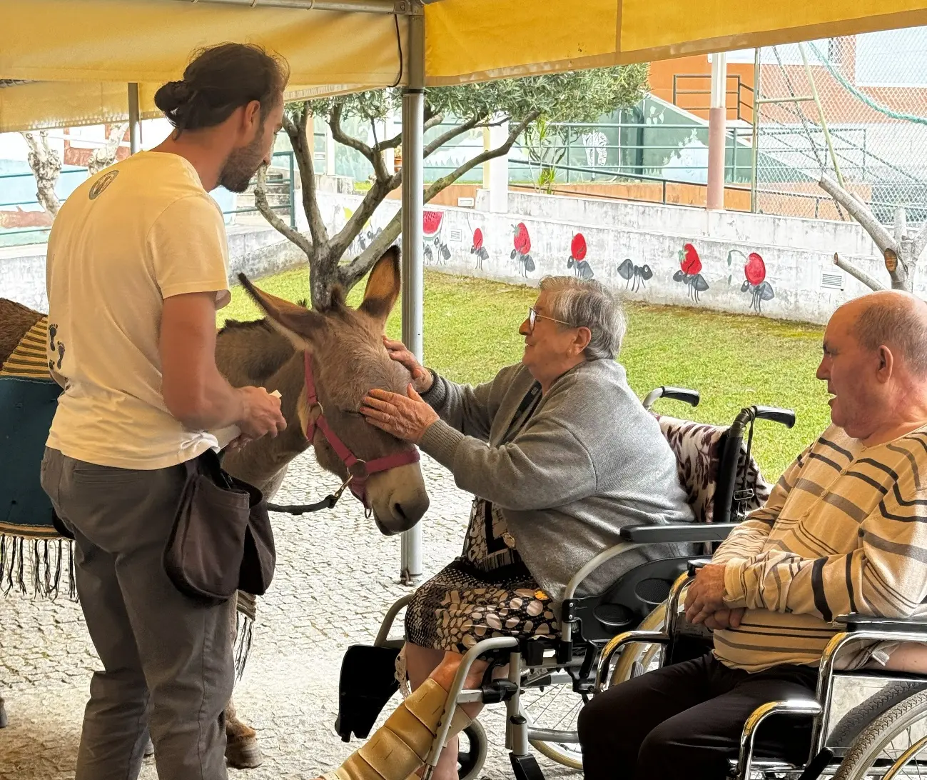 Atividade do Dia do Animal setembro-2026