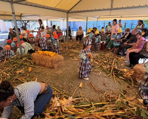 Atividade da Desfolhada Tradicional no Centro de Infância e Juventude e idosos
