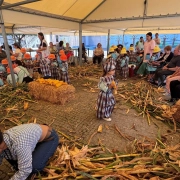 Atividade da Desfolhada Tradicional no Centro de Infância e Juventude e idosos