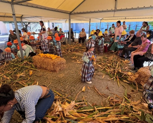 Atividade da Desfolhada Tradicional no Centro de Infância e Juventude e idosos