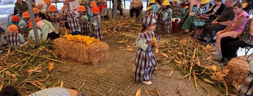 Atividade da Desfolhada Tradicional no Centro de Infância e Juventude e idosos