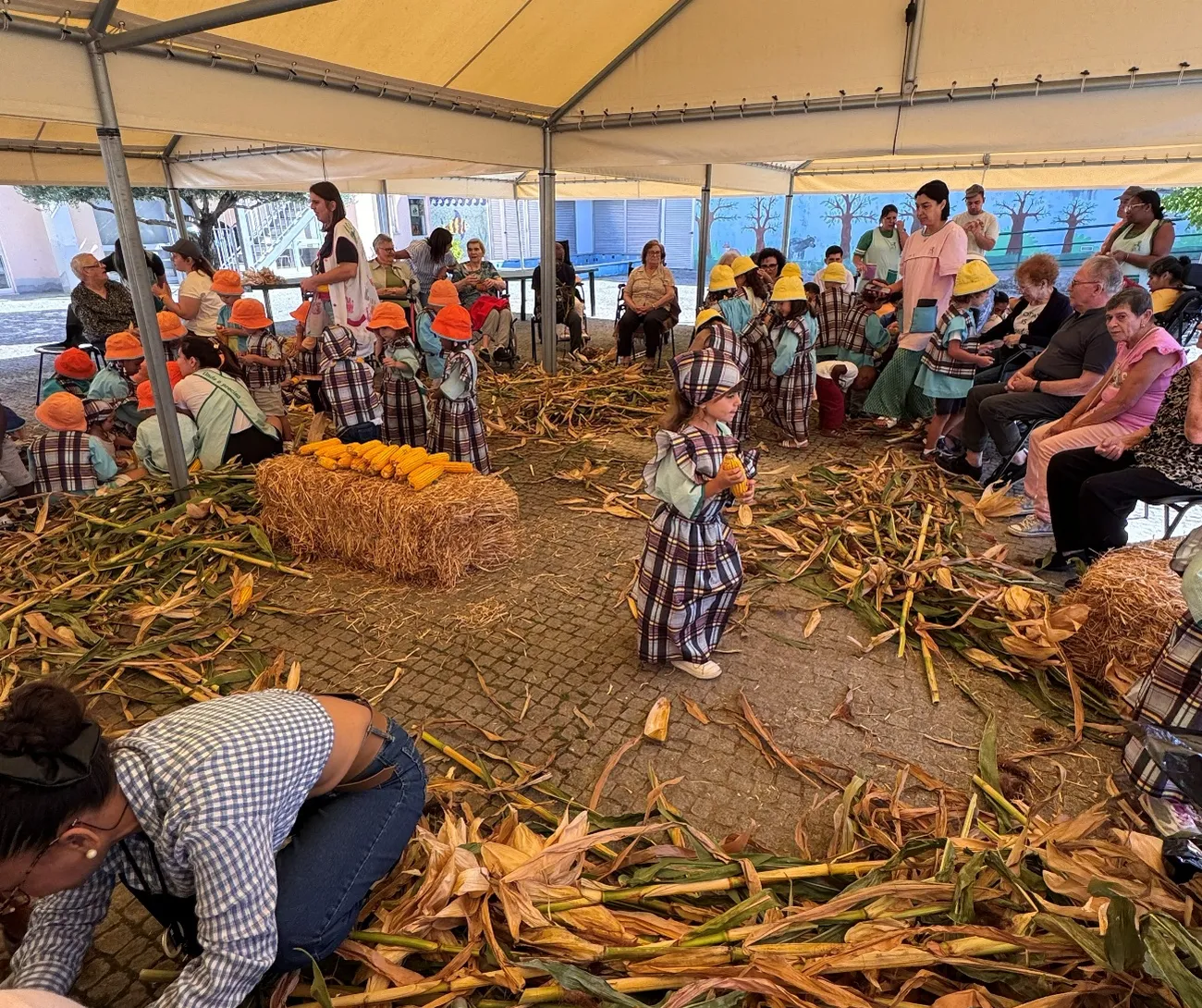 Atividade da Desfolhada Tradicional no Centro de Infância e Juventude e idosos